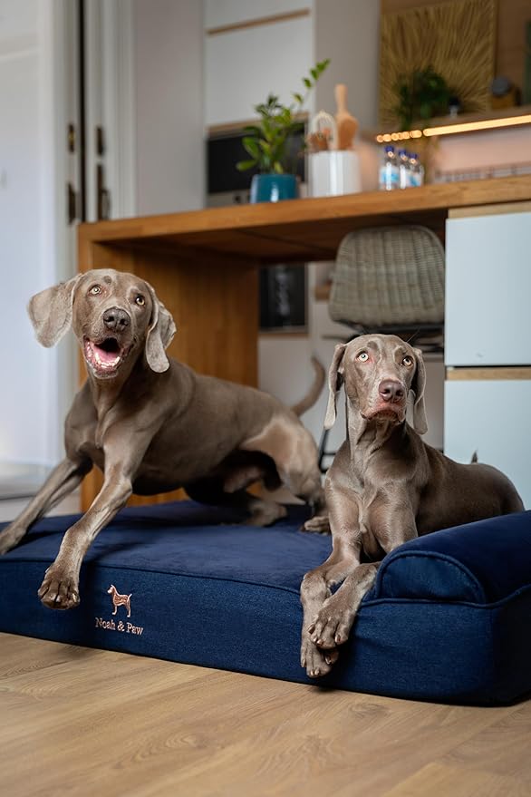 NOAH & PAW Giant Dog Bed XXL 55x45x9.5 Inch, Orthopedic Dog Beds, Eggshell Memory Foam Infused with Cooling Gel, Waterproof, Machine Washable, Includes Inner Cover (Denim Collection)