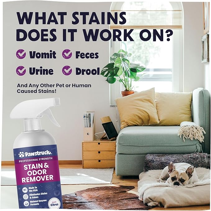 Pawstruck Professional Strength Pet Stain & Odor Remover - Natural Enzyme Cleaning Solution for Dogs & Cats - Safe and Effective Smell Eliminator - 32 oz - Packaging May Vary