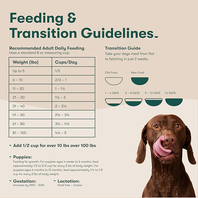 Jinx Premium Dry Dog Food, for All Lifestages - Real Salmon, Brown Rice & Sweet Potato Kibble with Superfoods for Immune Support & Probiotics for Digestive Support - No Fillers - 11.5lb