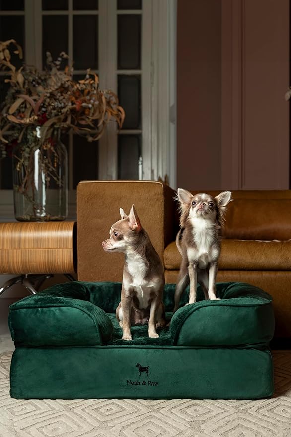 NOAH & PAW Dog Bed, 28x23x11 Inch, Orthopedic Dog Beds for Medium Size Pets, Eggshell Memory Foam Infused with Cooling Gel, Inner Cover, Waterproof, Machine Washable (Velvet Sofa Collection)