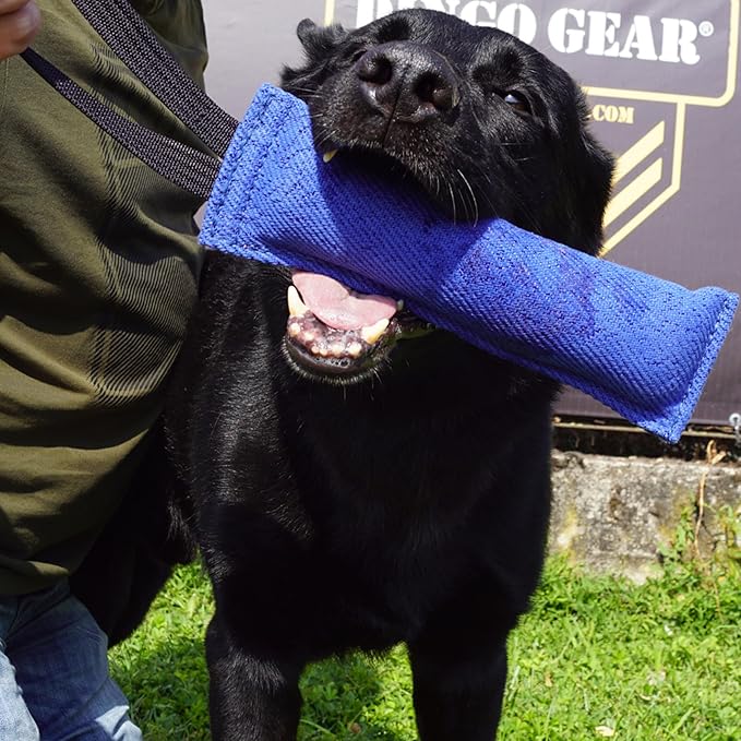 Dingo Gear French Linen tug Toy for Dog, Bumper Toy for Training, Agility, tug of war, bite Pillow for Strong Dog, 1handle 11in Blue S00061