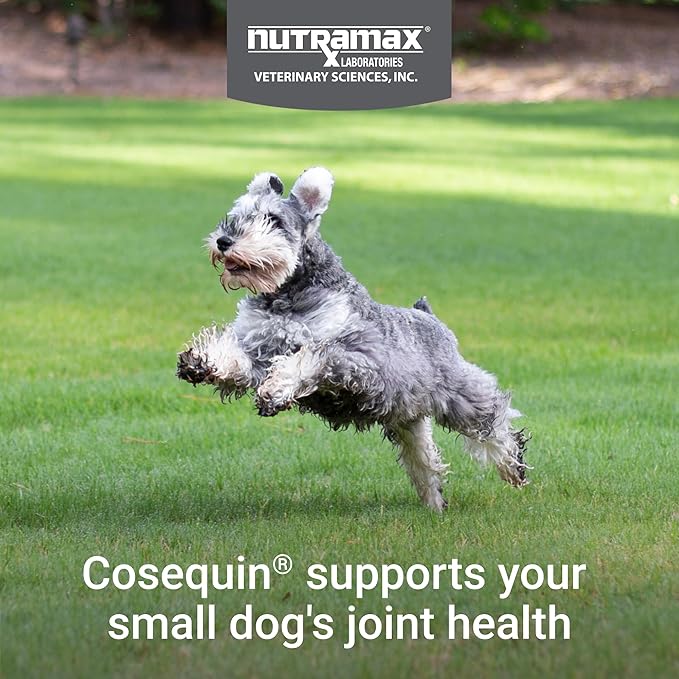 Nutramax Laboratories Cosequin Plus MSM & Boswellia Mini Sized Soft Chews