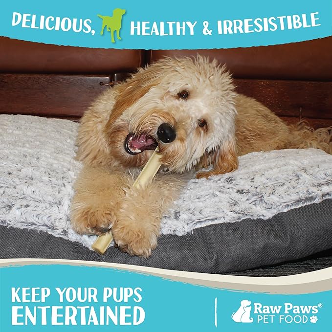 Raw Paws 10-inch Compressed Rawhide Sticks for Dogs, 20-ct - Pressed Rawhide Chews for Large Breeds & Medium Dogs - Safe Raw Hide Rolls - Natural Dog Chew Long Lasting for Aggressive Chewers