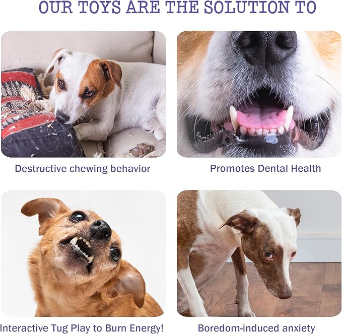 No-Stuffing Bunny Squeaky Dog Toy for Aggressive Chewers, Tear-Resistant Plush Puppy Teething Toy to Keep Them Busy, Tough Interactive Tug of War & Dental Chew for Small Medium Large Dogs