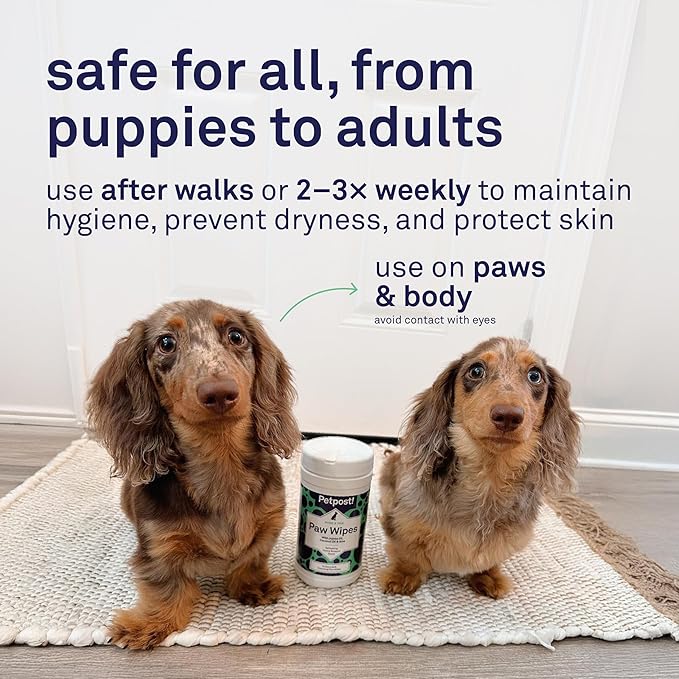 Petpost Paw Wipes for Dogs | 70 Count Dog Paw Cleaner Wipes with Coconut Oil, Jojoba Oil & Aloe | Gentle Pet Wipes for Paws | Large Ultra Soft Cotton Pads, Cherry Blossom Scent