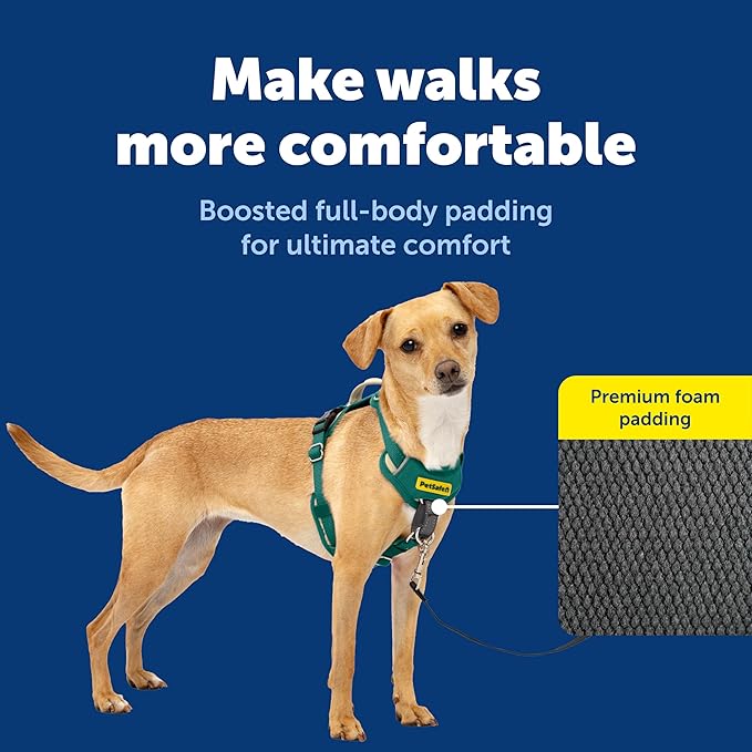 PetSafe Easy Walk Comfort No-Pull Dog Harness - Better Walk Training Harness - Full Body Padded Design - Durable Fabric - 5 Point Adjustable Fit - Everyday Leash Training - Green - X-Small