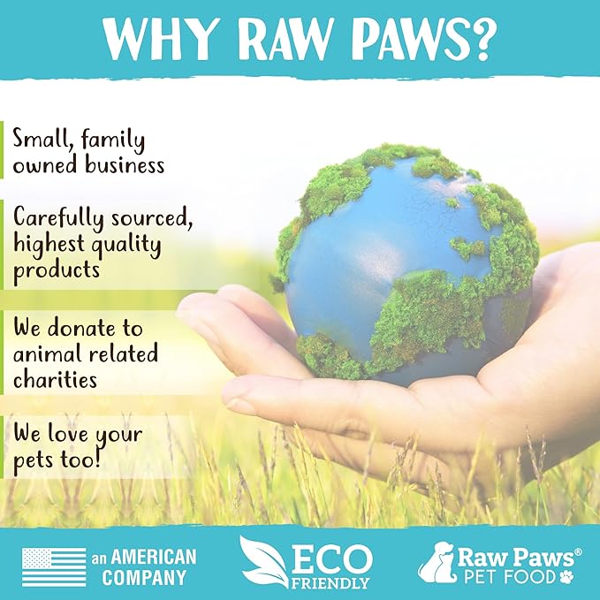 Raw Paws Freeze Dried Cheddar Cheese Treats for Dogs, 3-oz - Crunchy Dog Puffs Made in USA, Natural Dried Wisconsin Cheddar Bites - 100% Real Cheese Treats
