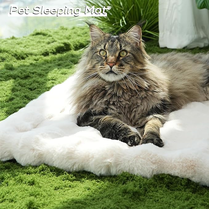 Plush Dog Bed Mat Faux Fur Cat Beds for Indoor Cats with Anti-Slip Bottom Kitten Self Warming Bed for Couch/Floor/Dog & Puppy Friendly 27 x 20 Inch Large White