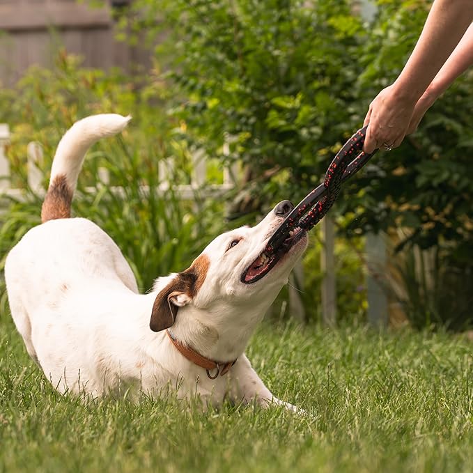 Chew King by Mammoth Supreme Dog Toy Collection, Medium Supreme Infinity Tug