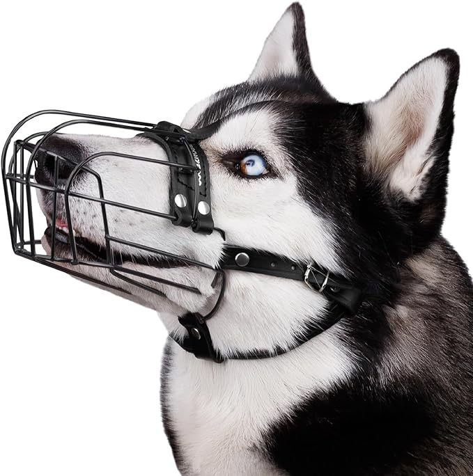 BRONZEDOG Dog Muzzle Adjustable Durable PVC Wire Basket for Large and Extra Large Dogs with Leather Straps Breathable, Drinkable, Training, Prevents Biting (PVC, Husky & Doberman)