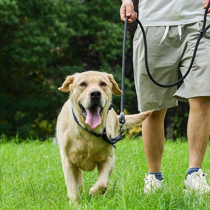 Rope Dog Leash, 6 Foot Heavy Duty Dog Leash with Aviation Aluminum Auto Locking Carabiner, Strong Nylon Pet Lead for Small, Medium, Large Dogs (Blue, 6FT)