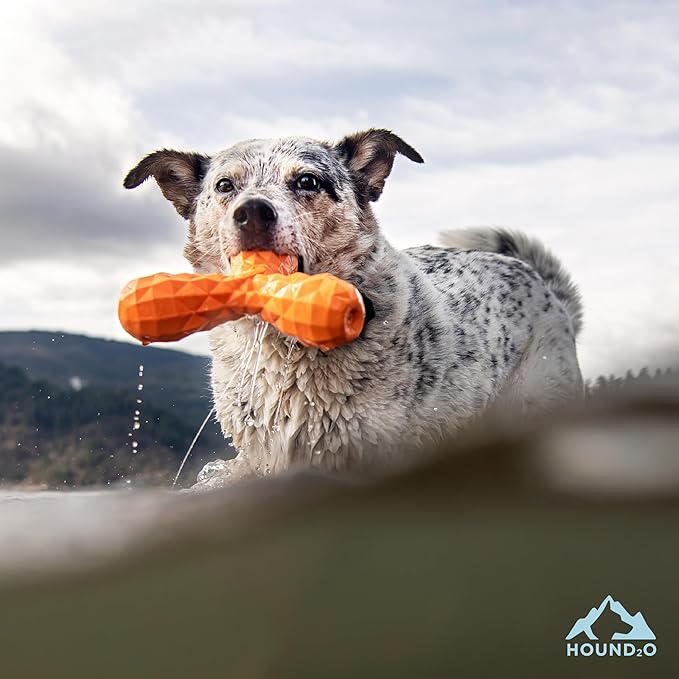 Playology Hound2O Dog Toys | Squeaky Boomerang Floating Toy for Dogs | Orange Outdoor Toy - Easy to Clean and Made from Non Toxic Materials
