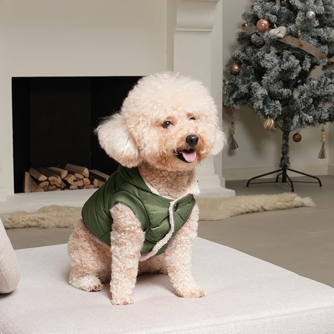 Fleece Lining Extra Warm Dog Hoodie in Winter for Large Dogs Jacket Pet Coats with Hooded Green XL