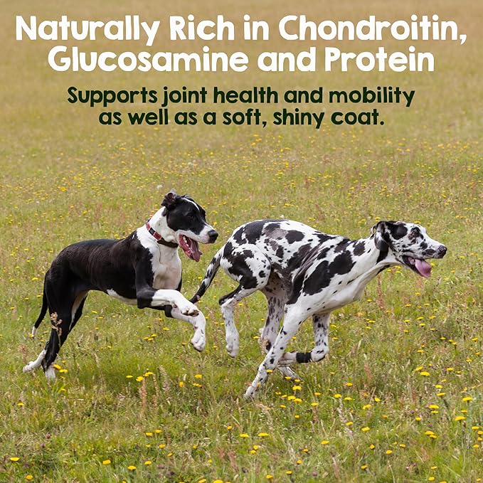 Riley's Steer Bully Sticks for Large to XL Dog Breeds - Odor Free, Single Ingredient Treat - Easily Digestible, 100% Beef Pizzle Sticks for Dogs - 12", 5ct