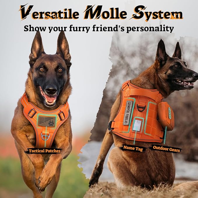 rabbitgoo Dog Harness for Large Dogs No Pull, Tactical Service Pet Vest with Molle and Control Handle, Adjustable and Reflective Military Harness for Easy Walking and Training, Orange, XL