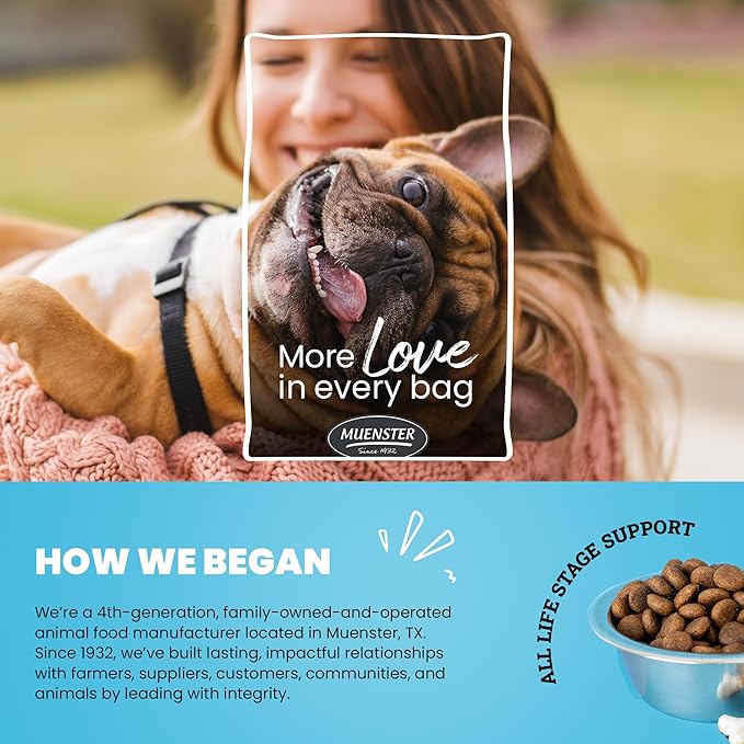 Muenster Ancient Grains Ocean Fish Dry Dog Food, 4lb - Gluten-Free, High Protein, Digestive Support