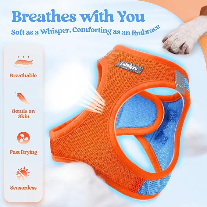 rabbitgoo Dog Harness Small Sized and Leash Set, Step in Soft Light Puppy Vest, Breathable Mesh Pet Harness, Reflective for Safe Easy Walking, Blue & Orange M