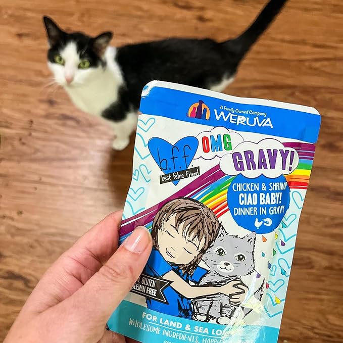 Weruva B.F.F. OMG - Best Feline Friend Oh My Gravy!, Seeya Sooner! with Chicken & Tuna in Gravy Cat Food, 2.8oz Pouch (Pack of 12)