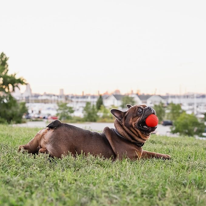 Chew King Flavored Rubber Ball Collection, 2.5 Inch Beef Flavor Rubber Balls 3-Pk