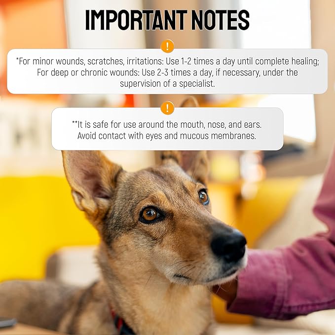 Honey Silver Wound Care for Pet no Antibiotic Wound Ointment for Dogs - Hot Spot Treatment for Dogs & Horses – Cat & Dog Wound Care for Cuts, Rashes, Irritation Honey Wound Repair Gel with Silver 2 Oz