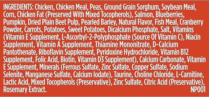 Nutrish Everyday Immune Support Dry Dog Food, Chicken, Salmon, Blueberry & Pumpkin Recipe, 13 lb. Bag (Rachael Ray)