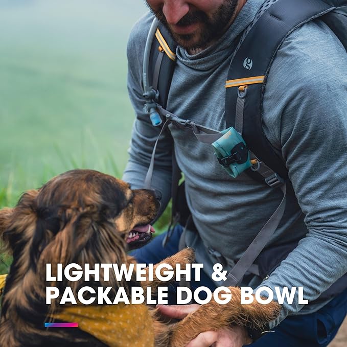 HydraPak Rover Dog Bowl (500ml/17oz) - Collapsible & Packable Dog Bowl for Food/Water