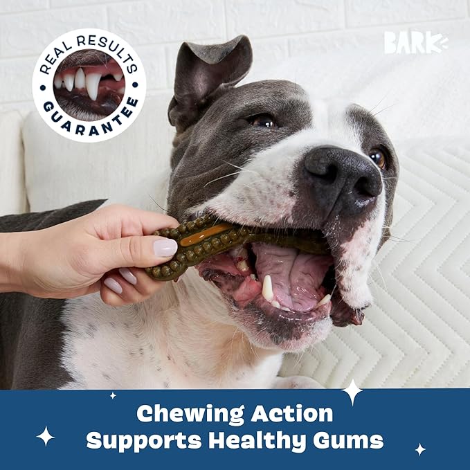 Barkbox Bright Durable Dog Dental Kit for Tough Chewers, 15 Chew Sticks & Toothpaste - Large Breeds