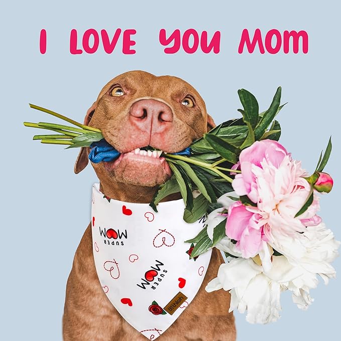 Mothers Day Dog Bandanas - 2 Pack Reversible Super Mom Pet Scarf for Boy and Girl | Premium Durable Fabric | Triangle I Love My Mom Bandana for Small Medium Large and Extra Large Dogs (X-Large)