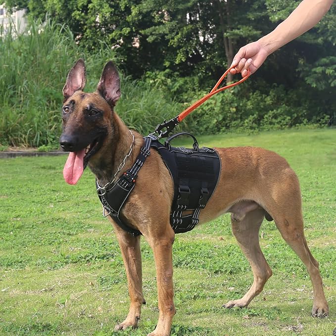 ICEFANG Short Dog Leash 18 Inch Reflective Nylon Traffic Leash with Padded Handle,Heavy Duty Auto Lock Swivel Clip for Medium Large Dogs No Pull Training Walking (Orange, 18 Inch)