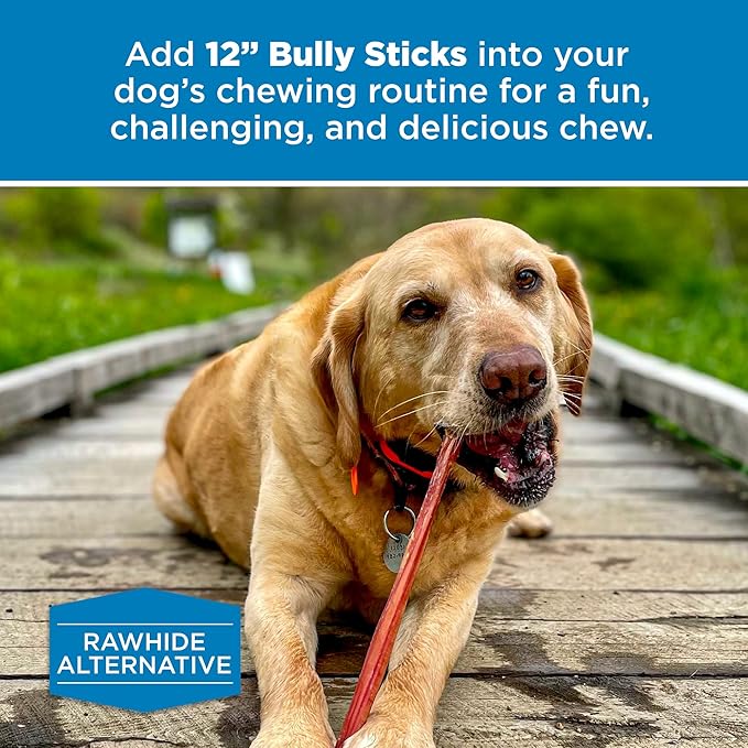 Best Bully Sticks 12 Inch Bully Sticks - 8 oz (Pack of 1) - Natural Grass-Fed, Grain and Rawhide Free, Perfect for Medium or Large Canines