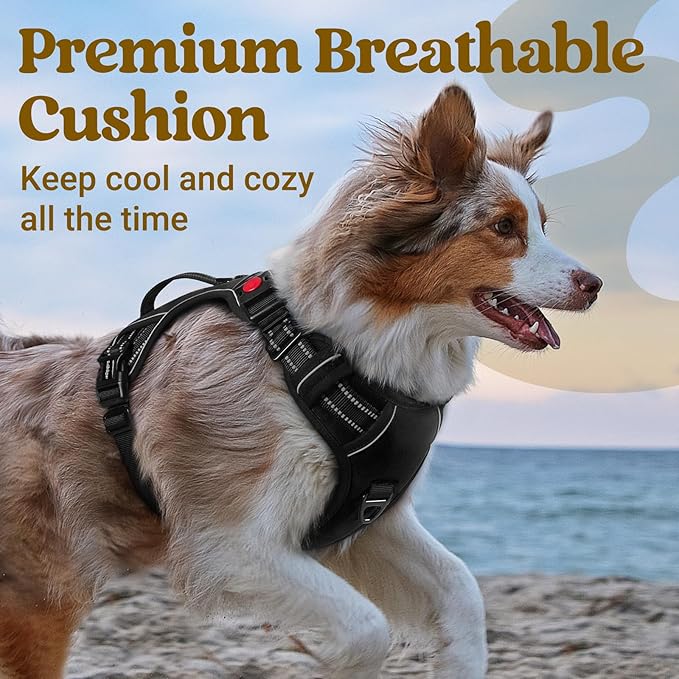 rabbitgoo Dog Harness Medium Sized, No Pull Pet Harness with Soft Padded Handle, Adjustable Reflective Vest with 3 Buckles, Easy Walking Harness with 2 Leash Clips, Black, M