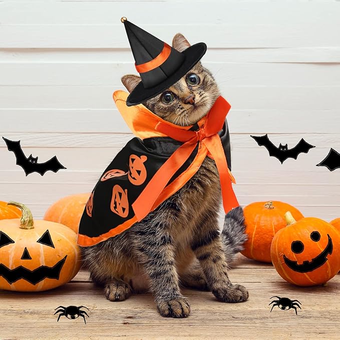 5 Pcs Cat Halloween Vampire Costume Halloween Pet Costume Clothes Set Cat Vampire Cloak Devil Witch Hat Bat Wings Wizard Clothes for Puppy Cosplay Dress up Accessories