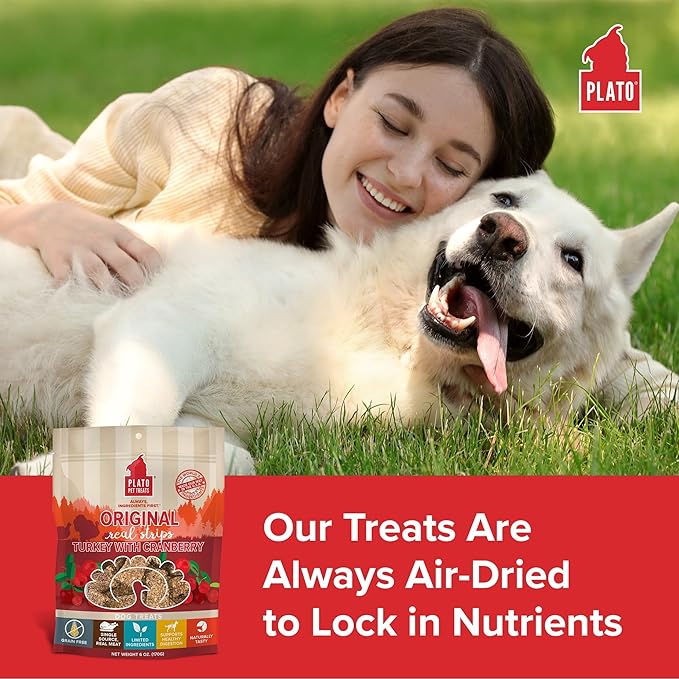 PLATO Turkey Real Strips Natural Dog Treats - Real Meat - Air Dried - Made in the USA - Turkey & Cranberry, 3 ounces