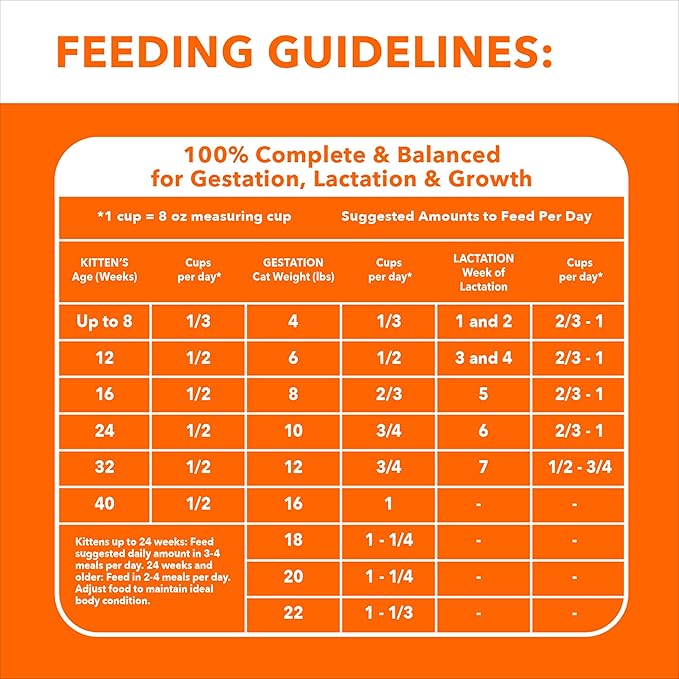 IAMs Proactive Health Dry Food for Cats - Kitten - Original - 3.18kg