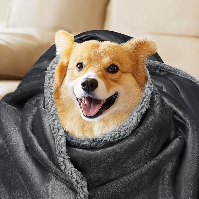 Waterproof Pet Blanket, Liquid Pee Proof Dog Blanket for Sofa Bed Couch, Reversible Sherpa Fleece Furniture Protector Cover for Small Medium Large Dogs Cats, Dark Gray X-Large（85" x 57"）