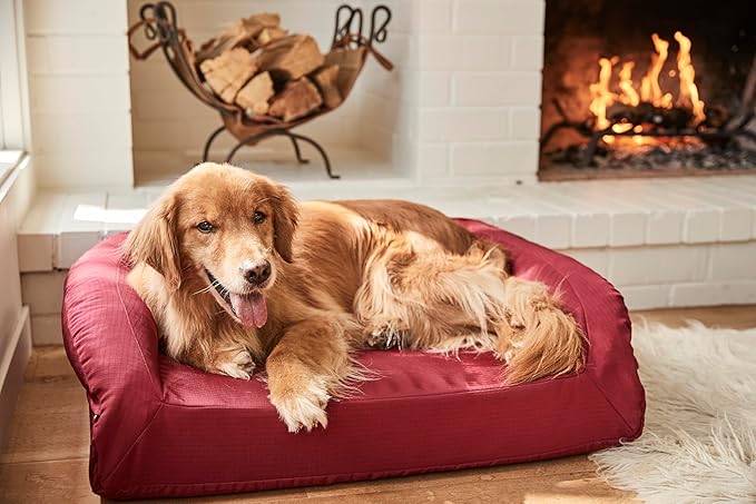 K9 Ballistics Tough Orthopedic Small Bolster Dog Bed - Washable, Durable and Water Resistant Dog Bed - Made for Toy and X-Small Dogs, 24" x 18", Taupe Premium Finish