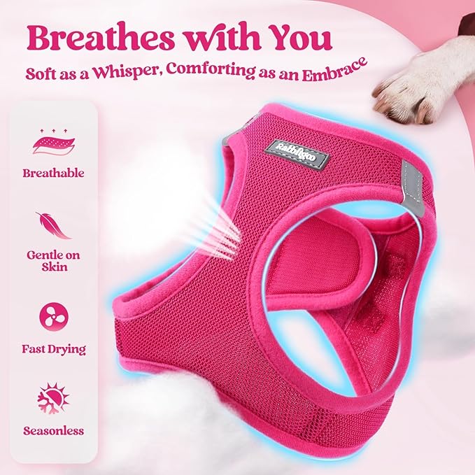 rabbitgoo Dog Harness Medium Sized and Leash Set, Step in Soft Light Puppy Vest, Breathable Mesh Pet Harness, Reflective for Safe Easy Walking, Rosa Red XXL