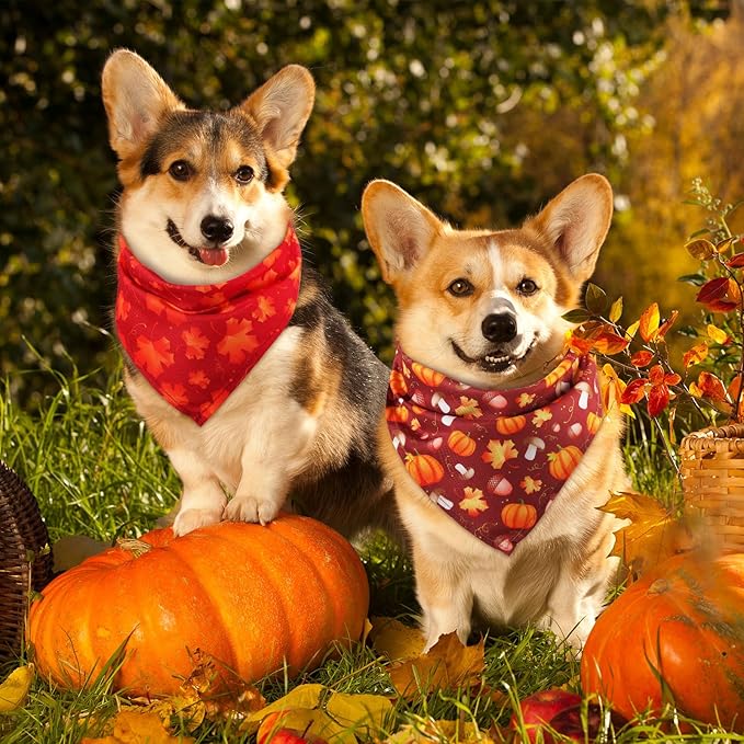 Sweetude 50 Pieces Thanksgiving Fall Dog Bandanas Bulk Pumpkin Maple Leaves Autumn Plaid Bandanas for Dogs Soft Bibs Triangle Scarves for Small Medium Large Pets Costume(31.5 x 21.7 x 21.7 Inch)