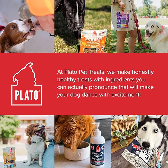 Plato Pet Treats Thinkers - Meat Sticks for Dogs - Limited Ingredient Treats with EPA and DHA to Support Skin, Coat, and Brain - Air-Dried - Lamb 10oz