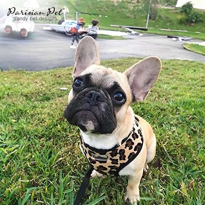 Parisian Pet Freedom Dog Harness - Adjustable Leopard Print Dog Harness - 100% Mesh Fabric Dog Vest Harness - Idle for All Outdoor Adventures - Dog Harness Medium Sized Dog - Puppy Harness - M