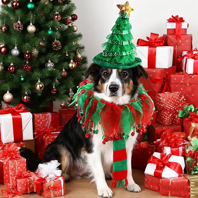 Cat Christmas Costume with Tutu Collar & Green Shiny Hat - Festive Outfit for Cats, Small Dogs, Holiday Party Dress Up for Thanksgiving, Christmas, Birthday Photos