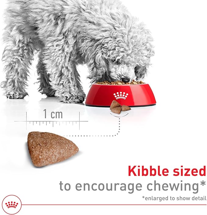 Royal Canin Size Health Nutrition Small Indoor Adult Dry Dog Food, 2.5 lb Bag