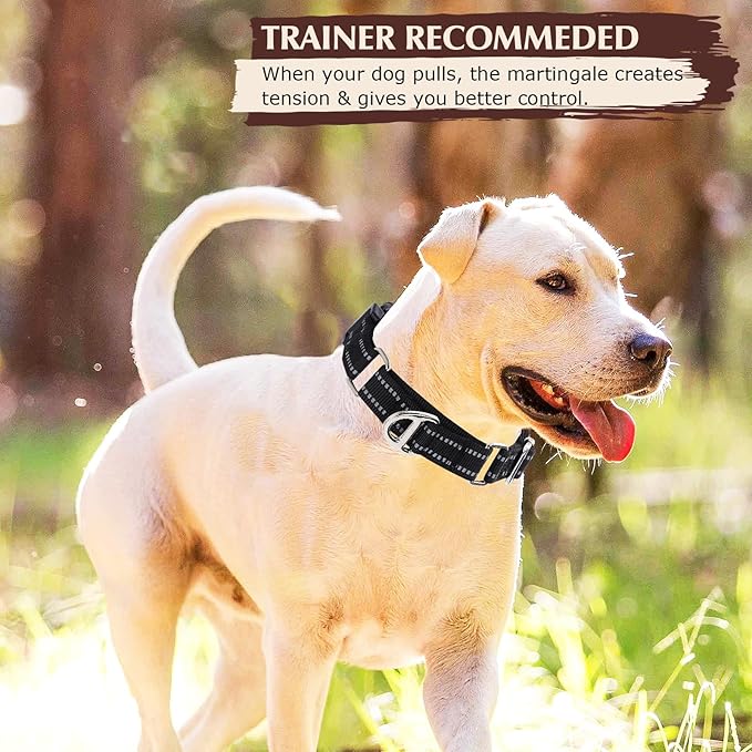 Martingale Collar for Dogs - Reflective Nylon, No Slip Choke Heavy Duty Collar with Quick Release Buckle- Safe Fit for Training & Walking Black L