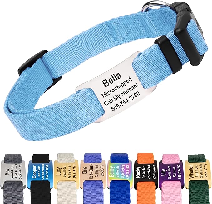 GoTags Personalized Dog Collar with Nameplate, Adjustable Dog Collar with Custom Engraved Slide On Pet ID Tag in Stainless Steel, Silent, No Noise Dog Tag (Light Blue, X-Small)