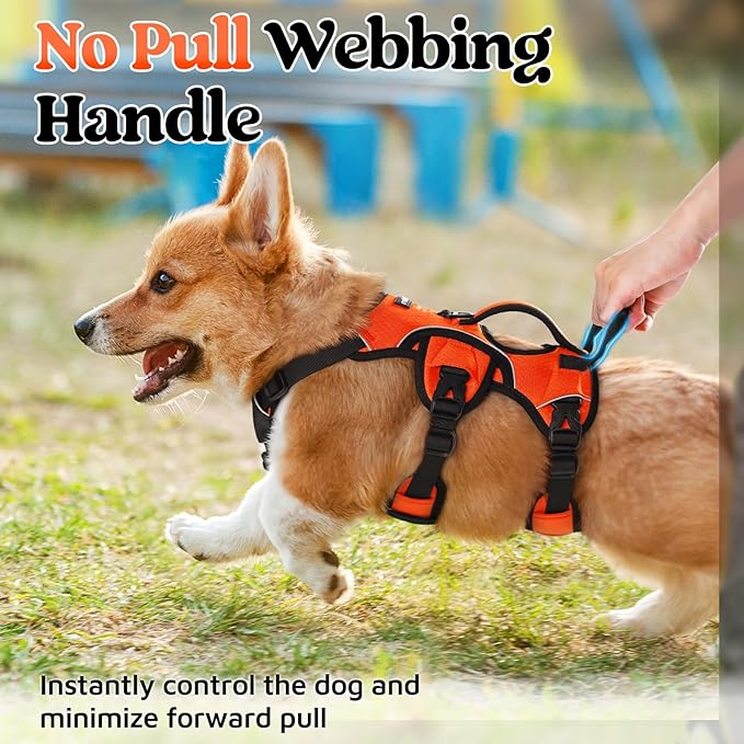rabbitgoo Escape Proof Dog Harness, Soft Padded Full Body Pet Harness, Reflective Adjustable No Pull Vest with Lift Handle and Lesh Clip for Large Dogs Walking Hiking Training, S, Orange