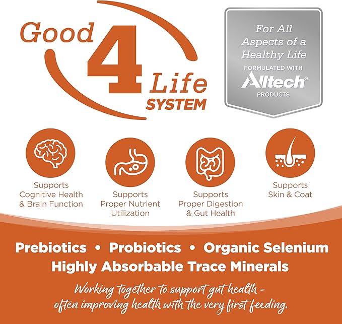 NutriSource Element Series Outback Trails Dry Dog Food, Lamb, Kangaroo and Wild Board, 12LB