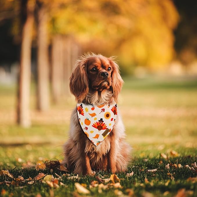 Thanksgiving Dog Bandanas - 2 Pack Reversible Fall Dog Scarf for Boy & Girl, Premium Durable Fabric, Autumn Bandana for Large and Extra Large Dogs (X-Large)
