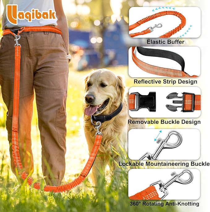 Hands Free Dog Leash, Adjustable Waist Leash for Dog Walking, Dual Bungee 4.2-6.7 Feet Long with Reflective Stitches for Walking Hiking Running, Fits 26"- 43" Inch Waist, Orange