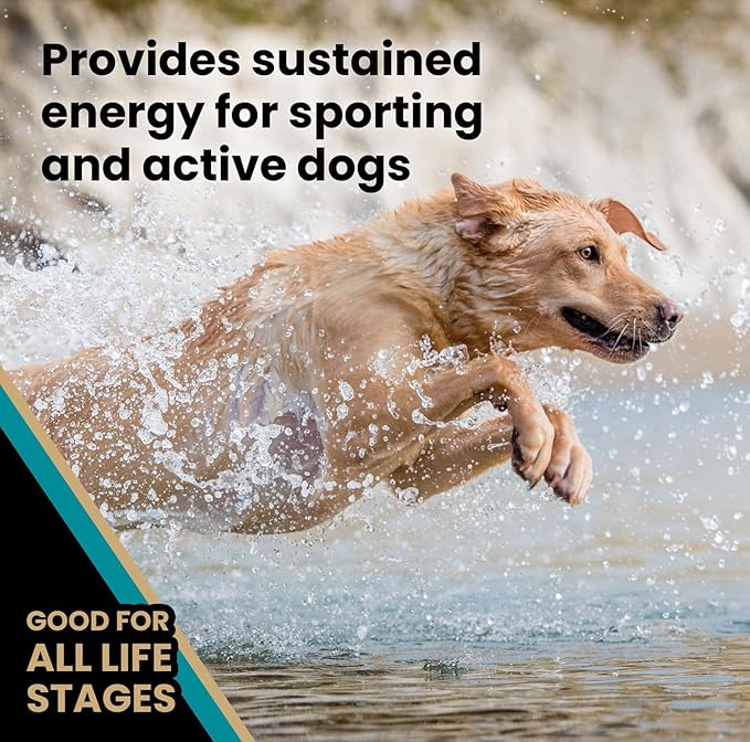 VICTOR Super Premium Dog Food – Hi-Pro Plus Dry Kibble – High Protein Dog Food with 30% Protein – Beef, Chicken, Pork, Fish Meals, Gluten Free - for High Energy and Active Dogs & Puppies, 30lbs