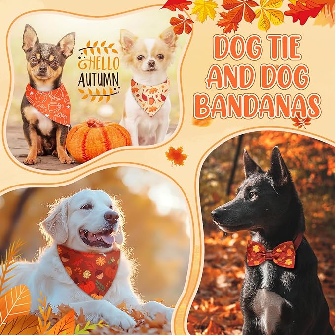 Sanwuta 50 Pcs Thanksgiving Fall Dog Bandanas Bulk and Collar Bow Ties Set 25 Autumn Bandanas 25 Fall Charm Dog Collar Pet Maple Leaves Pumpkin Triangle Pet Scarf Bowtie for Small Medium Large